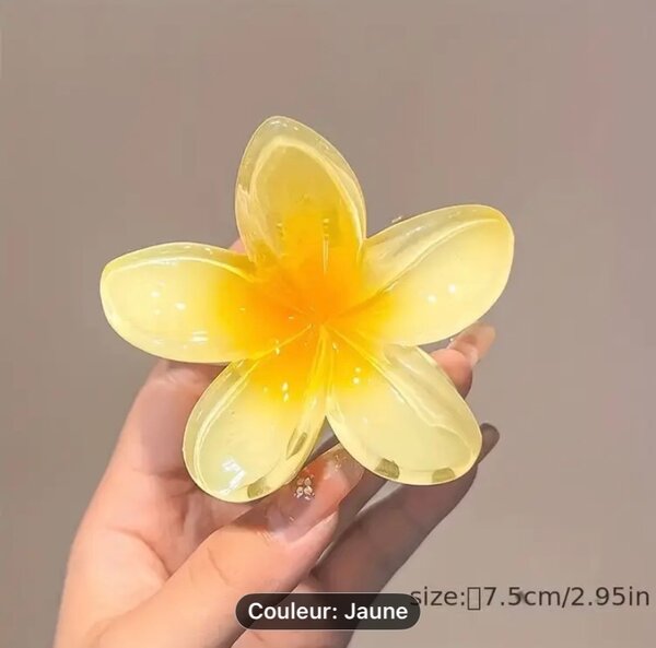 Pinces à cheveux fleurs colorées