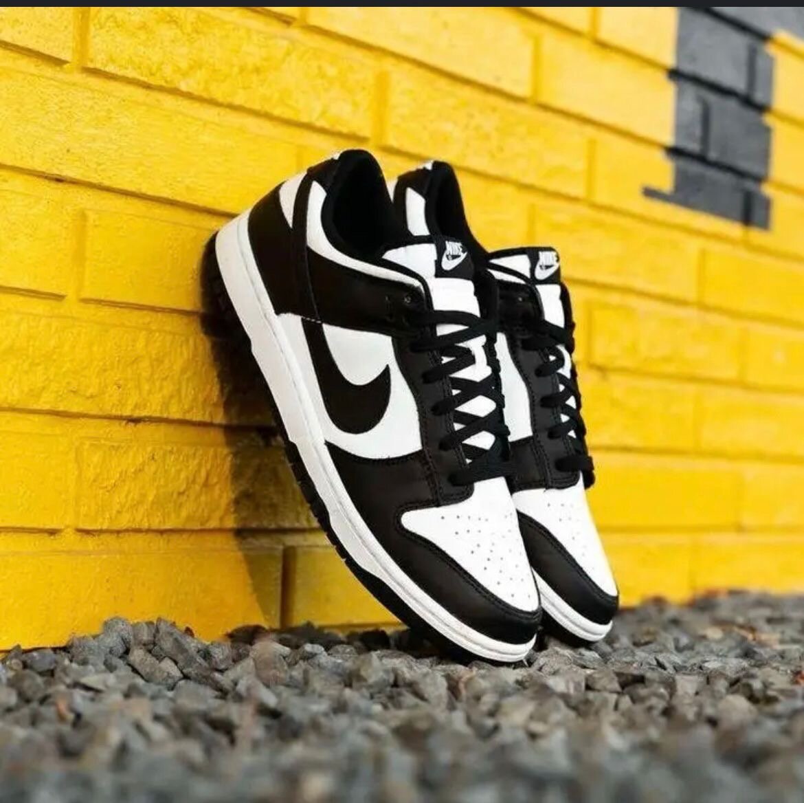 Baskets basses tendance homme