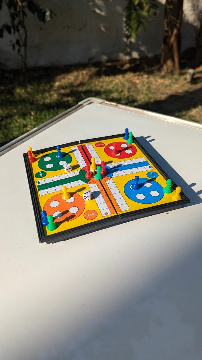 Magnetic ludo