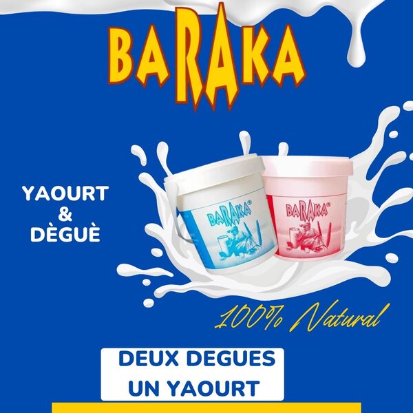 Combo 2 Degue + 1 Yaourt Baraka