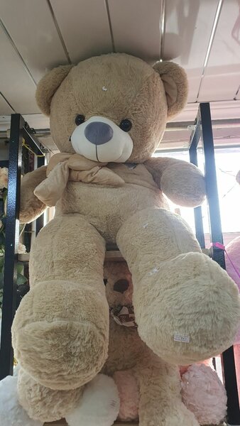 Мишка Тедди