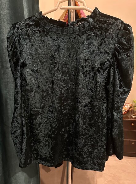 Velvet blouse