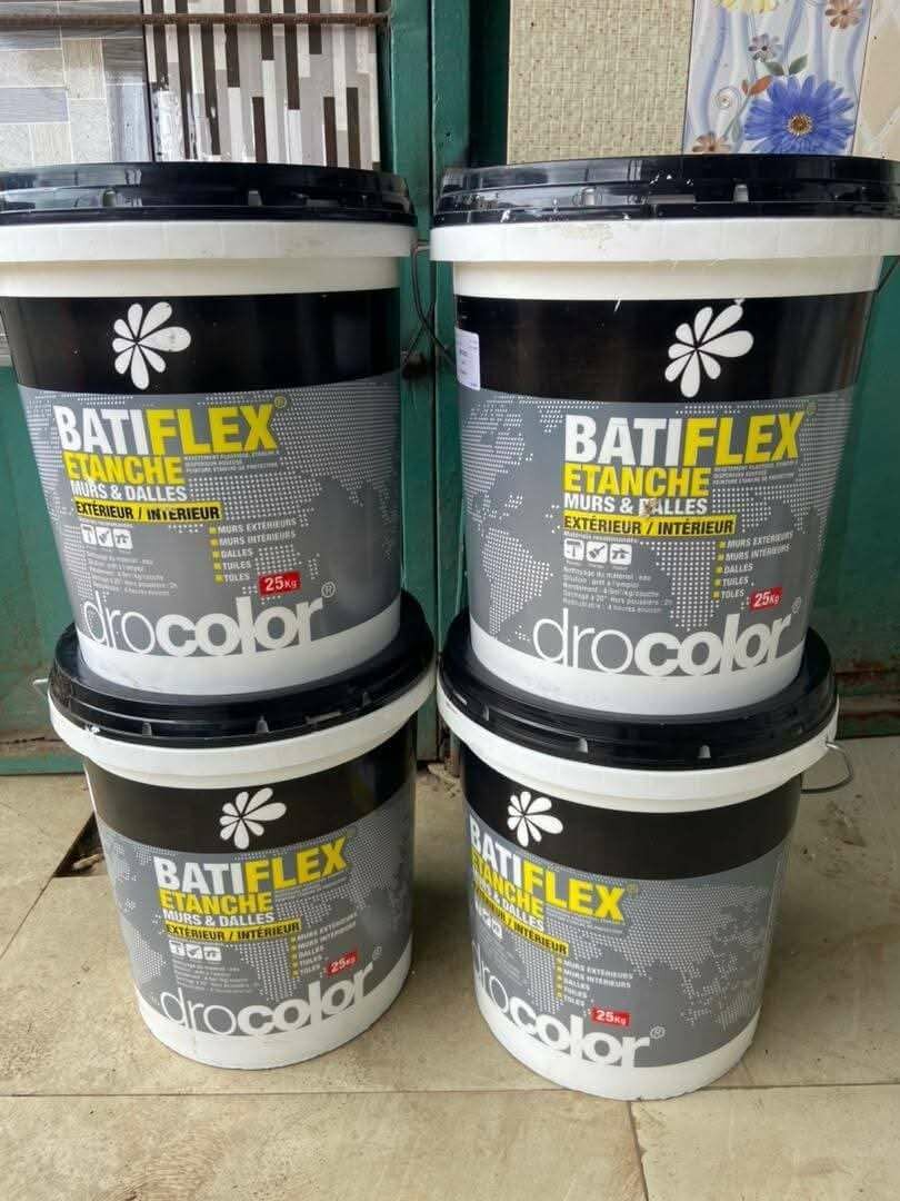 Peinture BatiFLEX Étanche 25KG