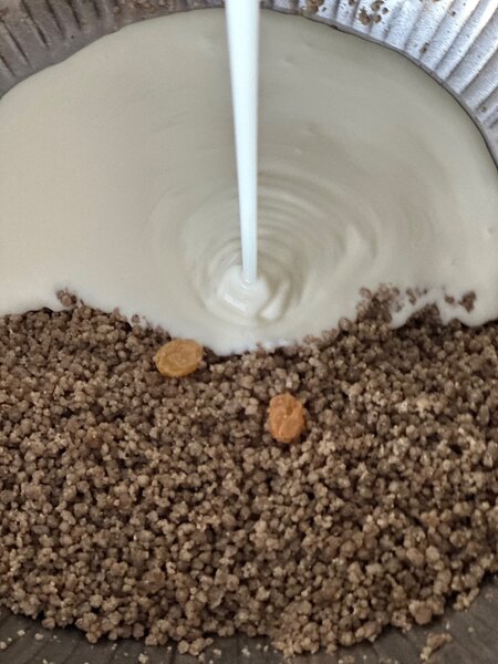 Boissons Probiotiques Maison