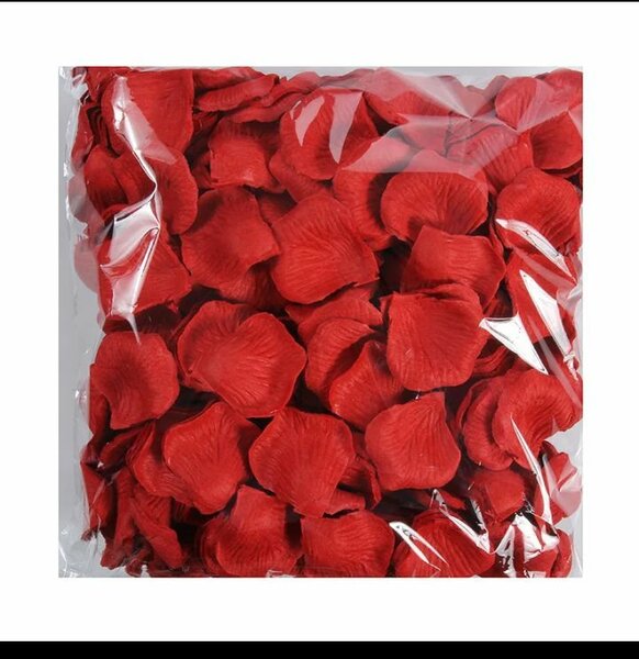 Pétales de rose St Valentin