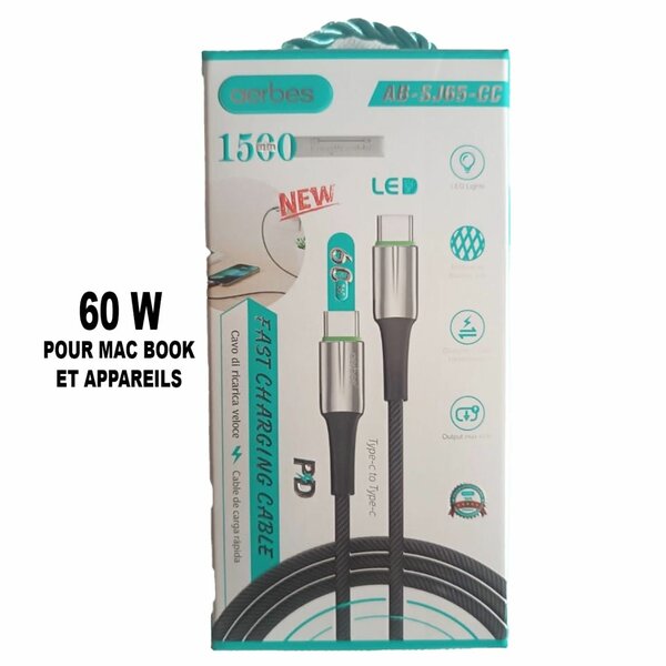 Cable type C mac et portable