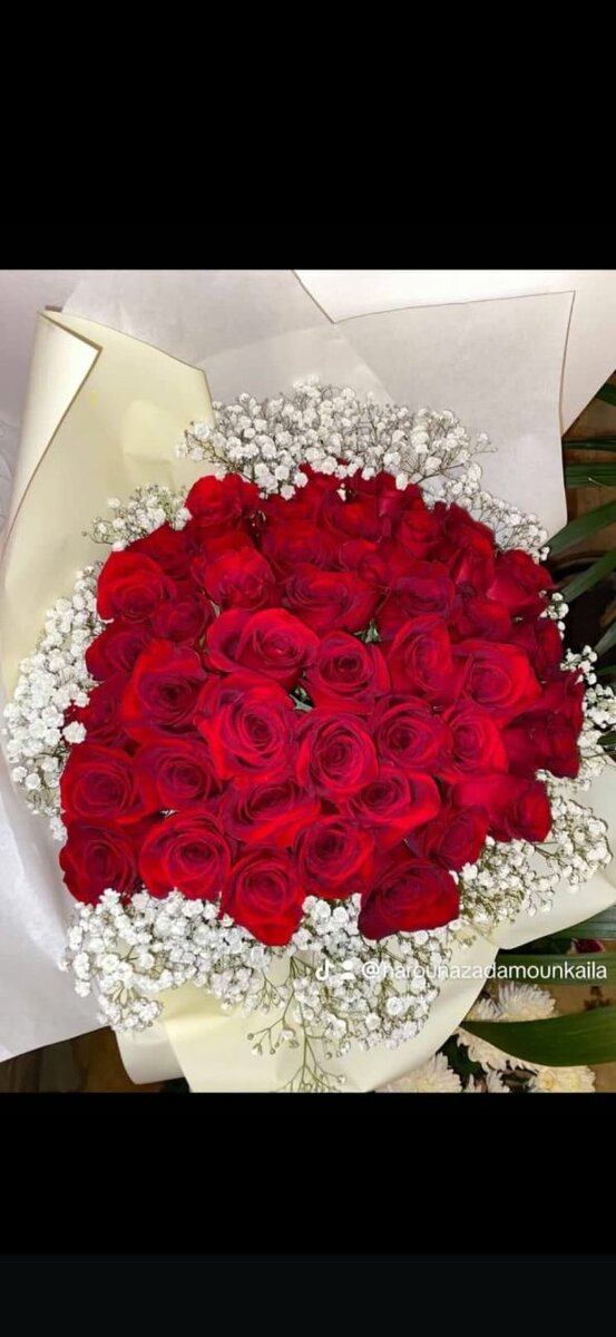Magnifique Bouquet de Roses Rouges