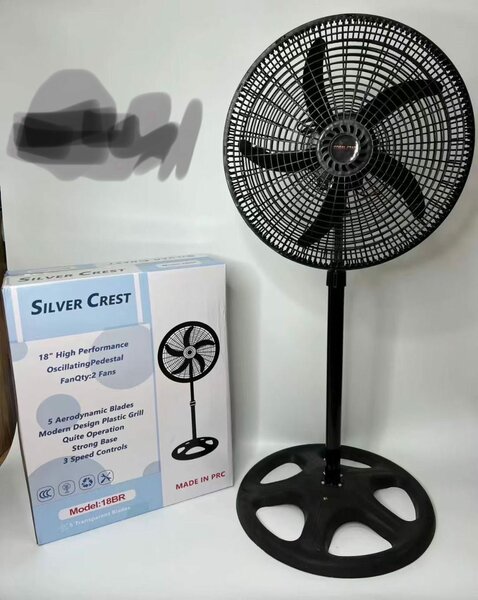 Fan