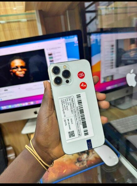 iPhone 12 Pro Max 256 Go