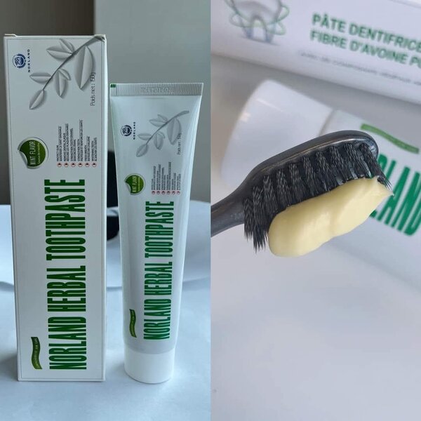 Dentifrice Herbal Norland