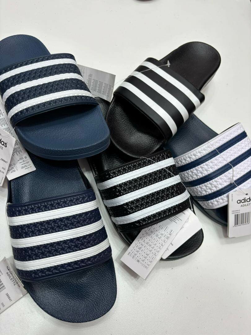 Moccasins amd sebaco