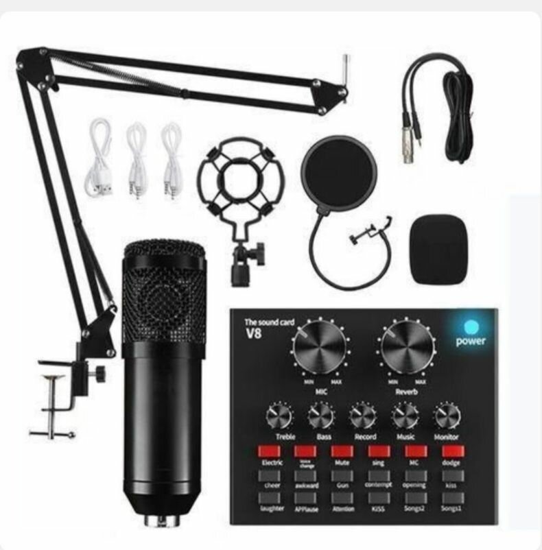 Microphone avec carte V8 BM800