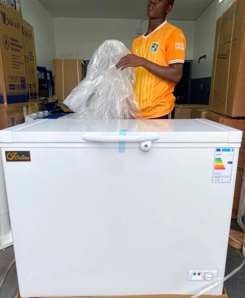 Congélateur coffre performant