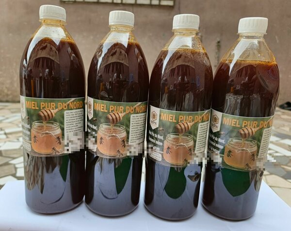 Miel pur du nord 1L