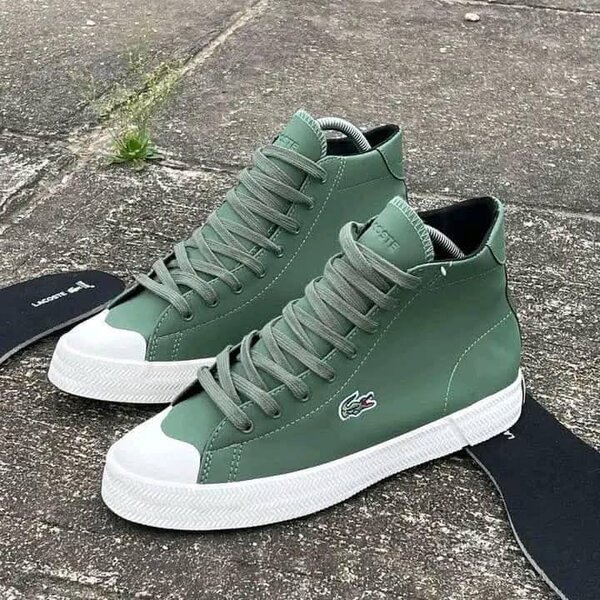 Baskets montantes homme Lacoste