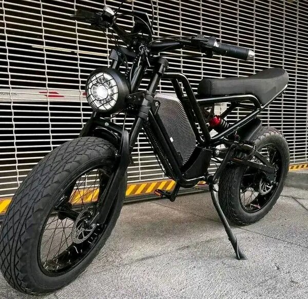 Vélo électrique robuste tout-terrain