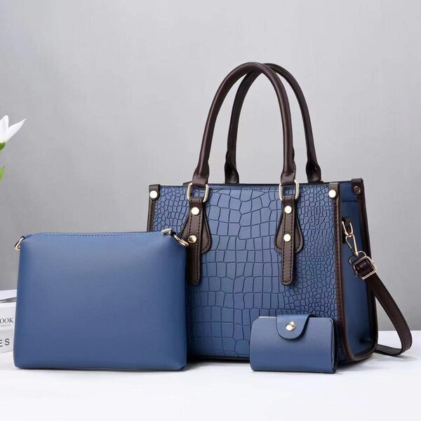 Fashionable Women's Bag + Accessories