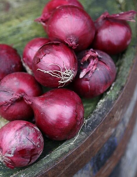 Mélange de légumes frais exotiques