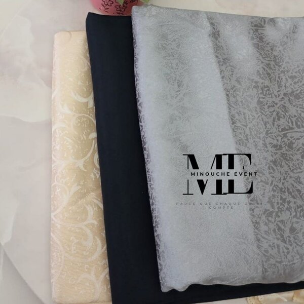 Tissu Organza Transparent