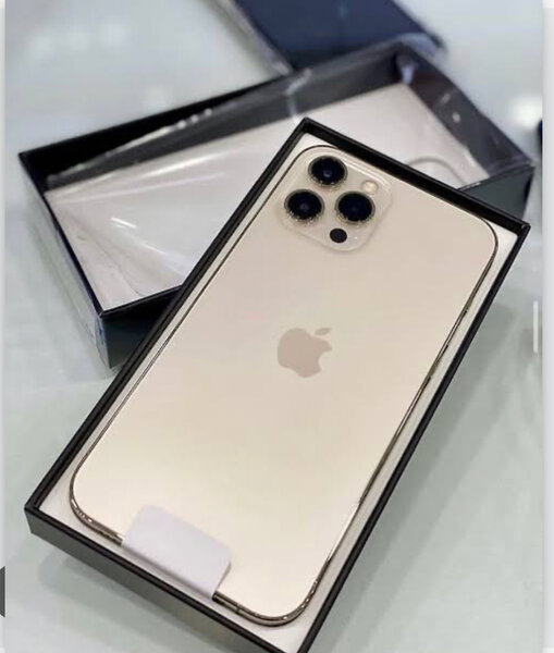 iPhone 13 Pro Max 512Go