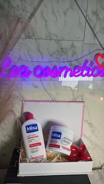 Duo mixa cica réparation