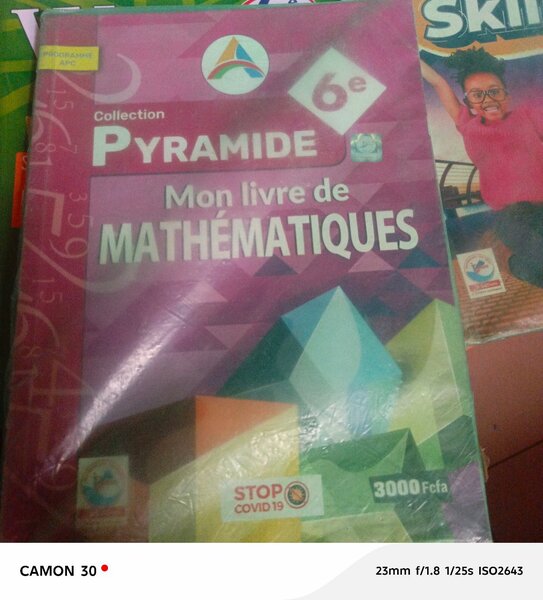 Cahier de Mathématiques 6e