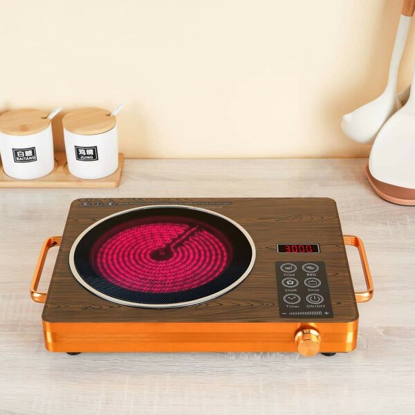 Plaque de cuisson électrique portable