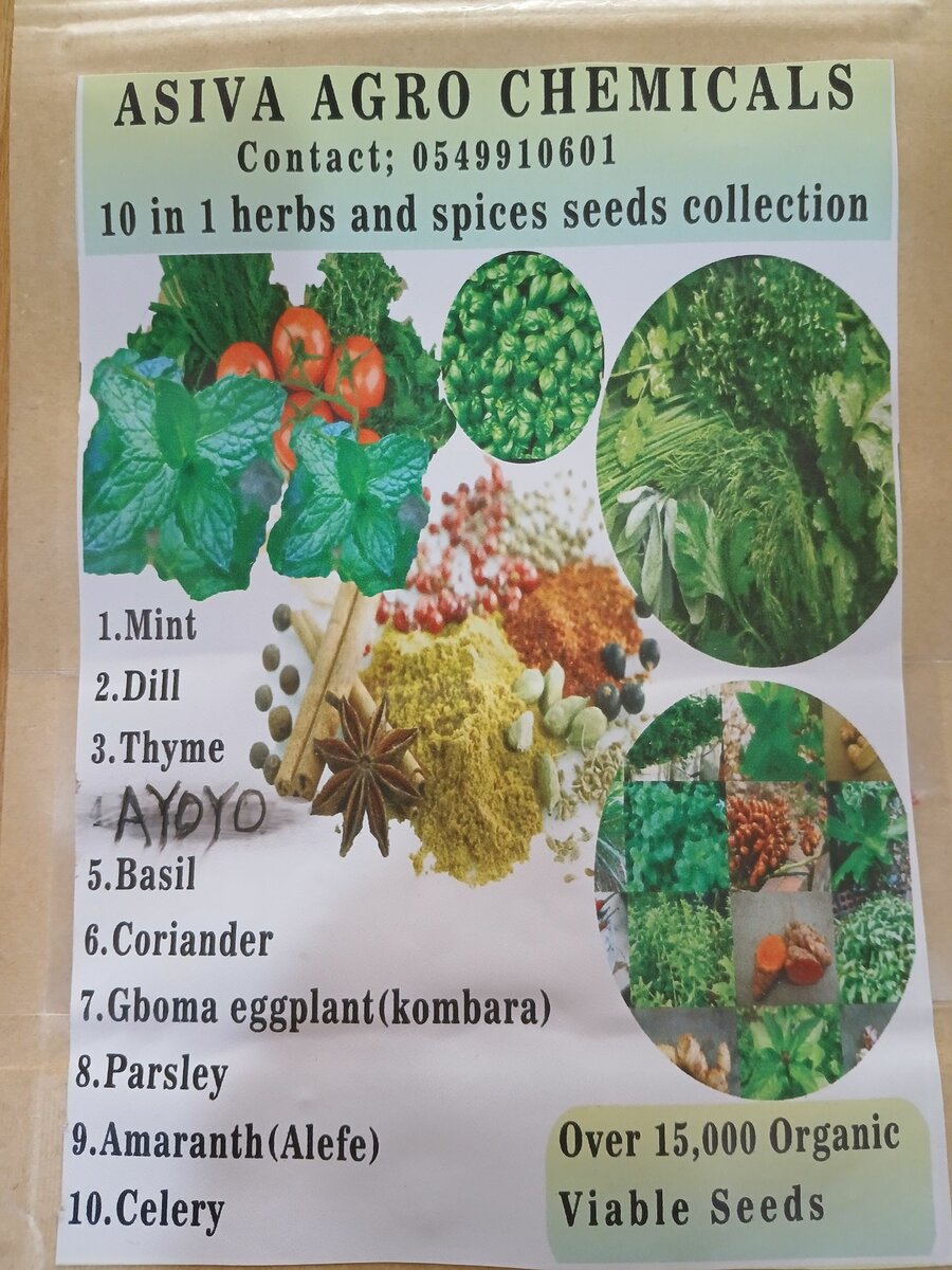 10 in 1 herbs and spices seeds