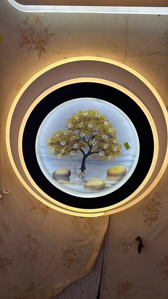 Design ceiling light