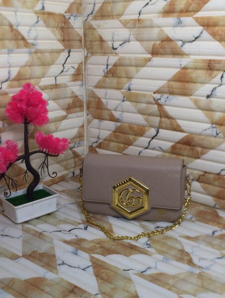 Ladies Elegant Handbag