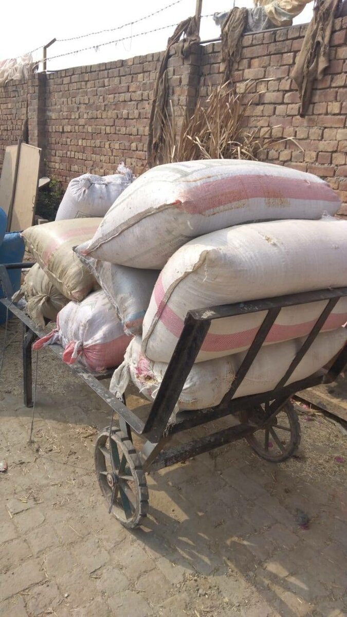 Rice Husk Big Bag Lahore Delivery All Pakistan