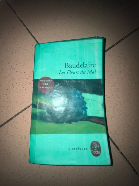 Les Fleurs du Mal de Baudelaire