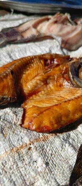 Semi dried fish