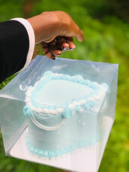 Heart shaped Bento cake