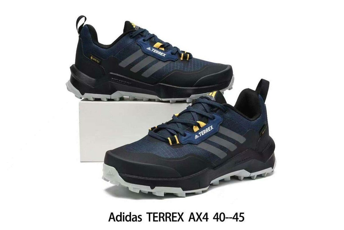 Adidas Terrex AX4 Homme