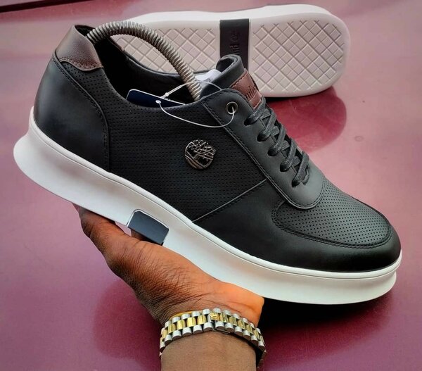 Chaussure Timberland