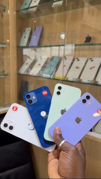 iPhone 12 en couleurs vives