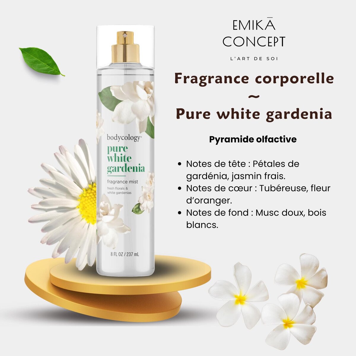 Brume Corporelle Bodycology