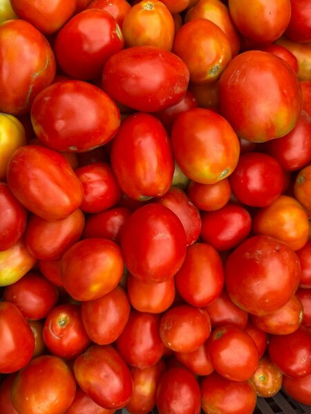 Tomates fraîches 5kg