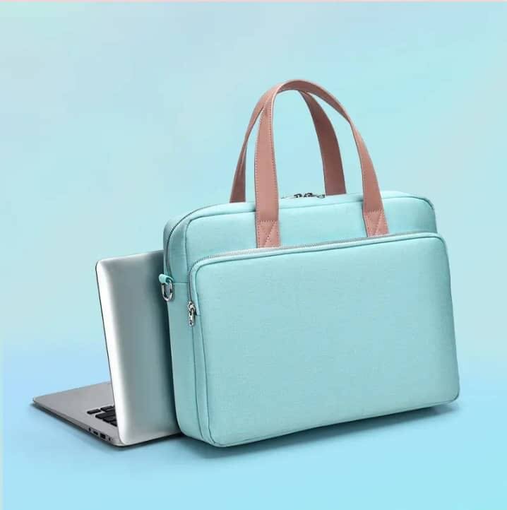 Cute laptop carriers