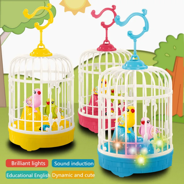 Cage musicale éducative LED