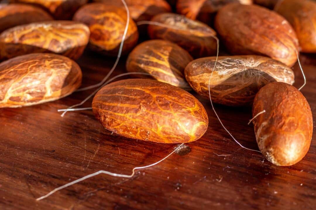 Poudre Raffinée de Petit Cola