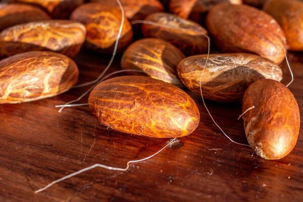 Poudre Raffinée de Petit Cola