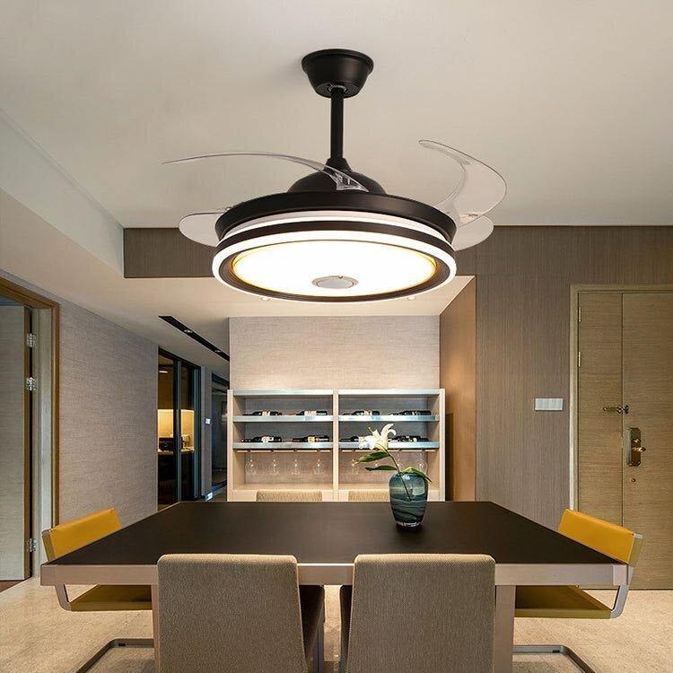 Ceiling light with fan
