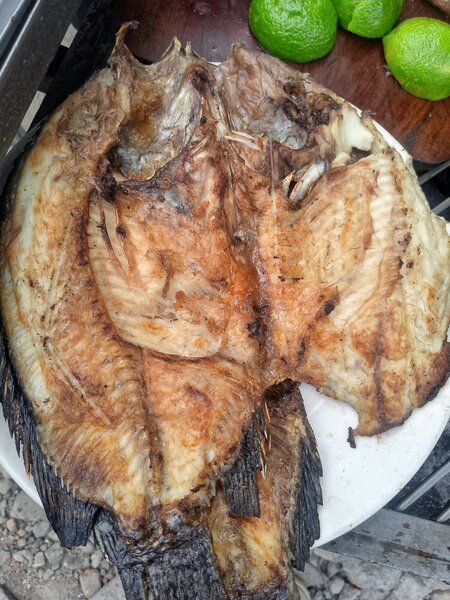 Charcoal grilled fish