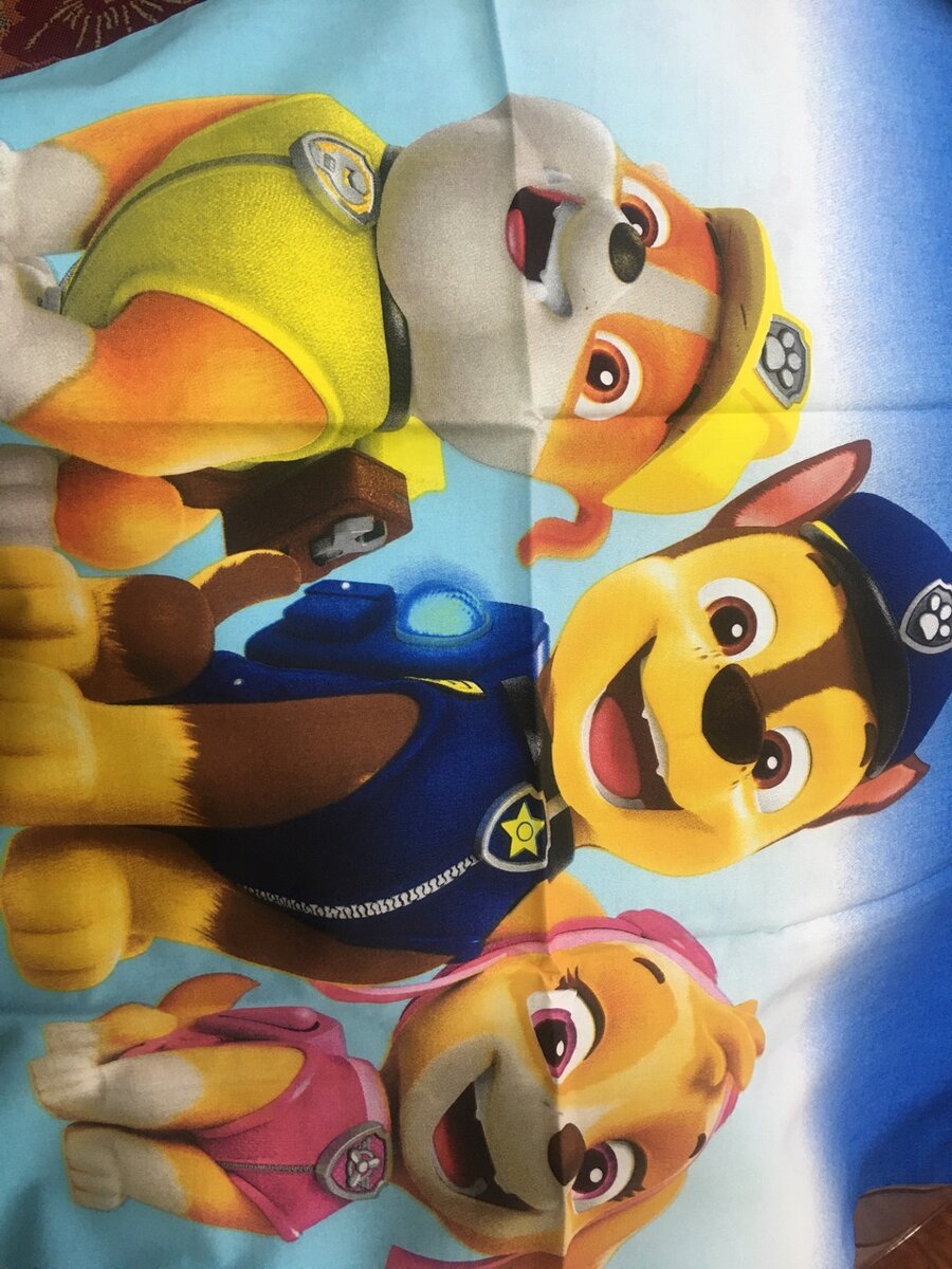 Single Cartoon Character Quilt Cover