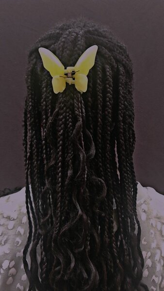 Clip Pince Papillon Colorée