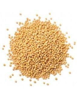 Grain de moutarde jaune et noi