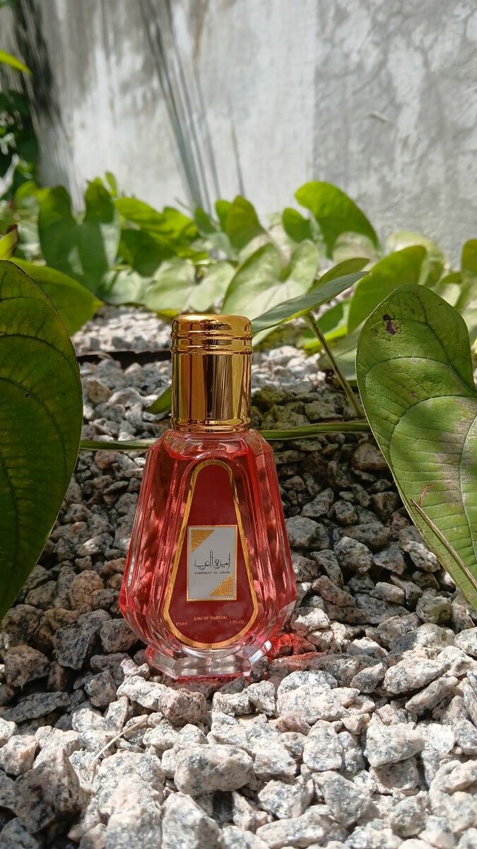 Parfum Amérat Al Arab 50ml