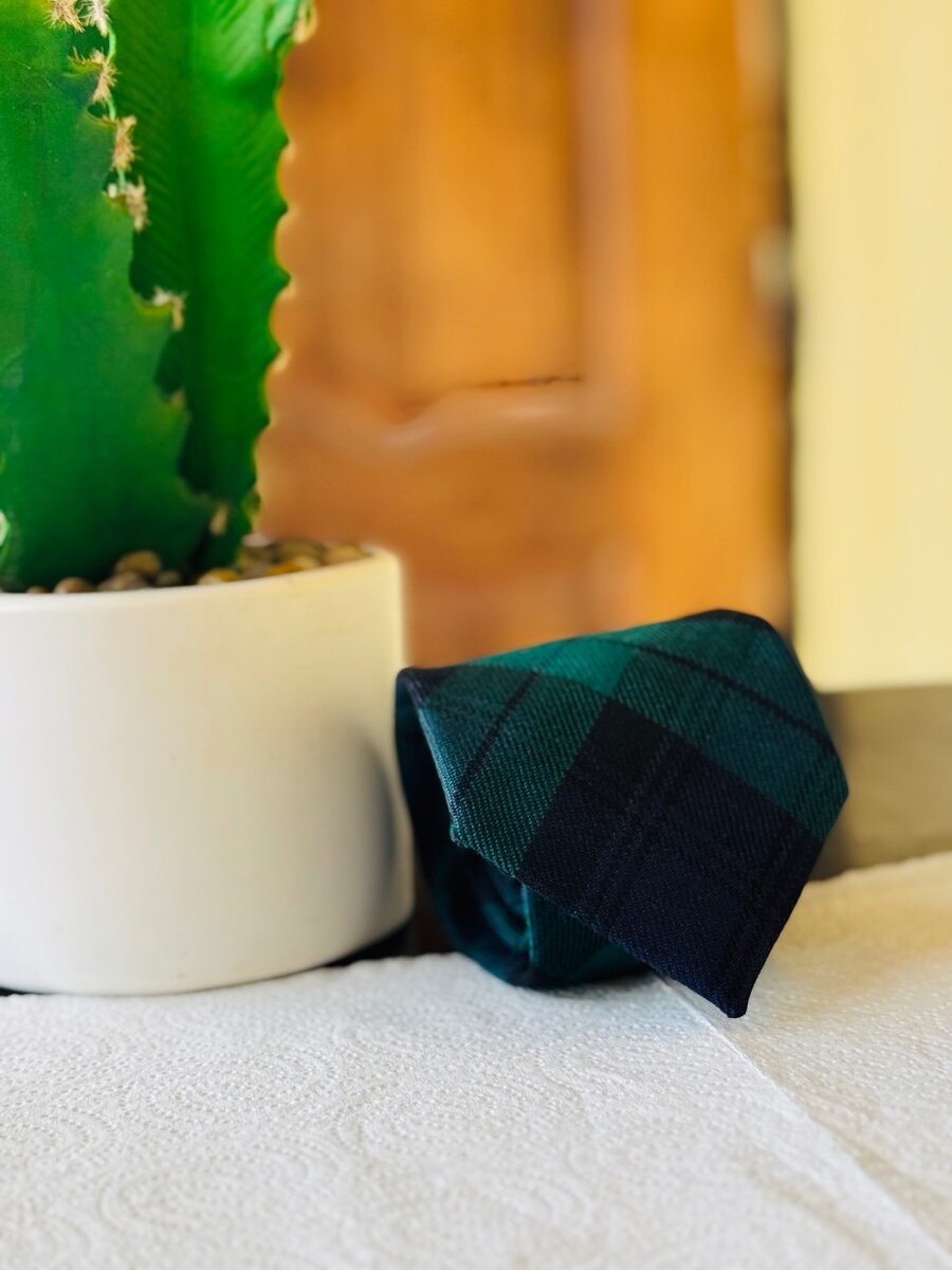 Cravates Élegantes en Soie